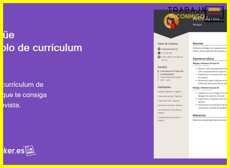 Clasificación de niveles: del básico al nativo en tu CV