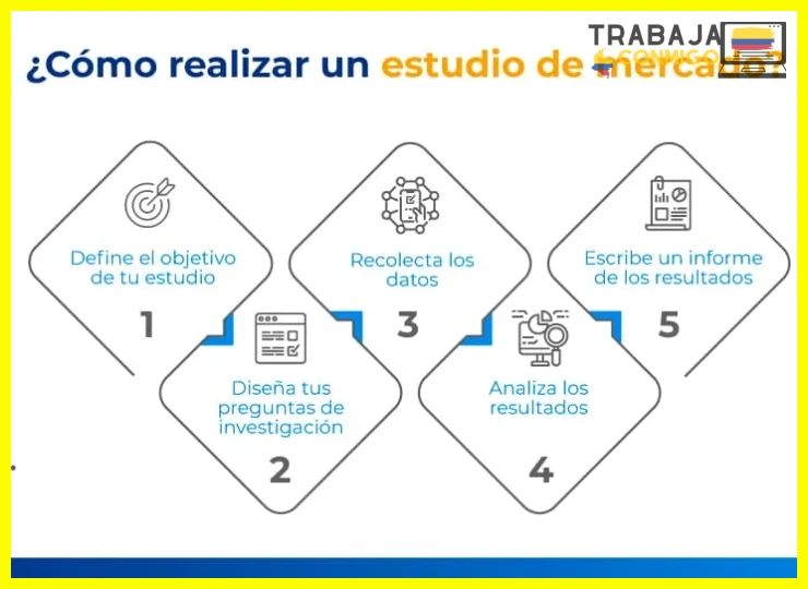 ¿Cómo hacer un estudio de mercado - Infoautonomos?