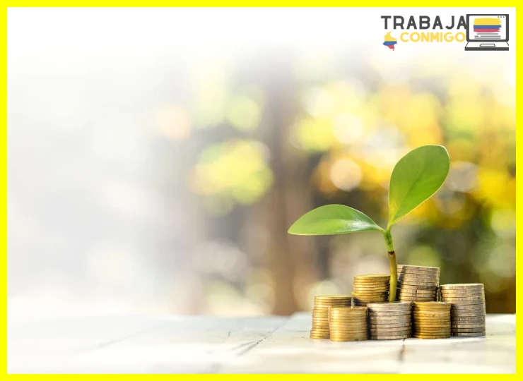 Identificar habilidades disponibles y recursos gratuitos