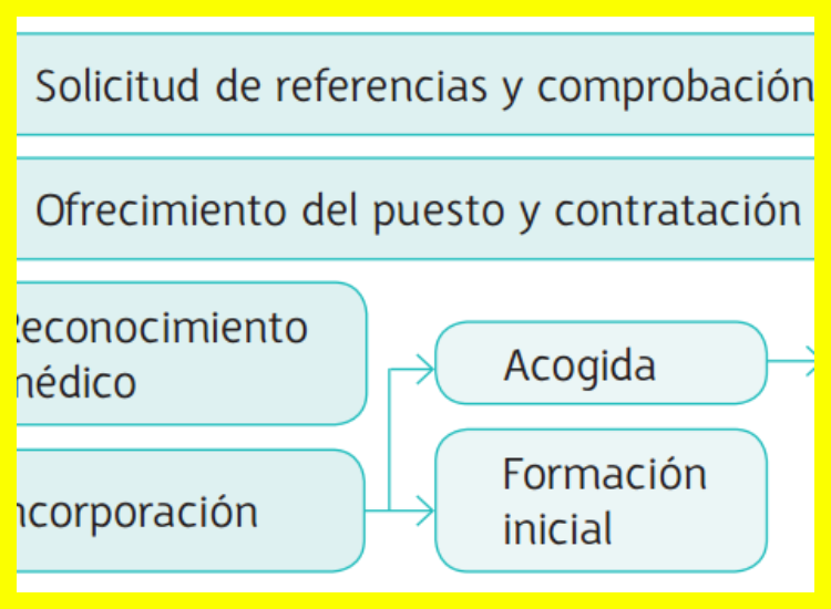 ¿Cuál es el proceso de selección una vez envío mi solicitud?