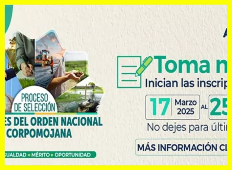 ¿Cuáles son los requisitos y el proceso de selección para postularse a una vacante en Nueva EPS?