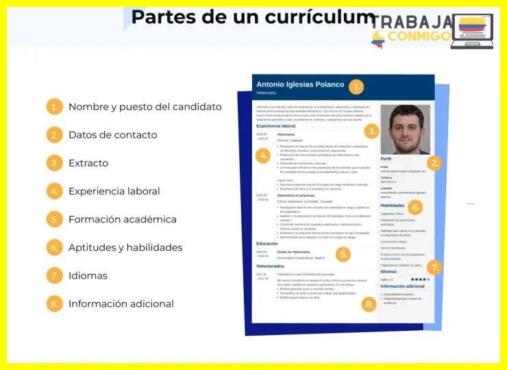 Aspectos prácticos en la estructura del CV