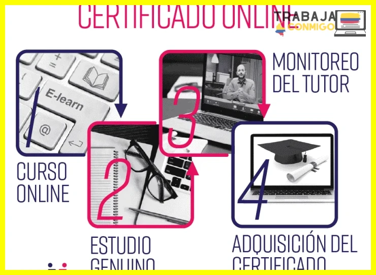 Características clave de los cursos en plataformas como edX y Coursera