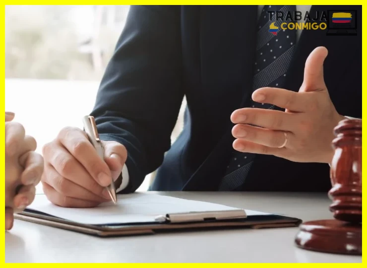 ¿Como Elegir La mejor Estructura Legal Para Pequeñas Empresas?