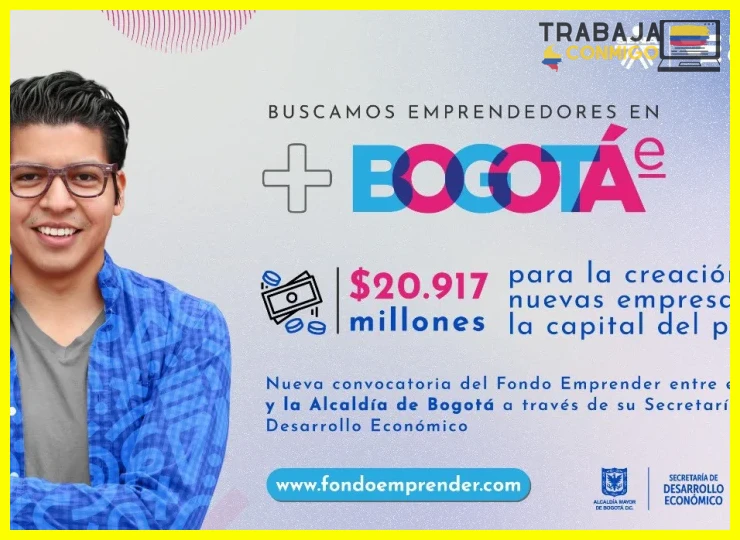 Cómo identificar si calificas como microempresario en la plataforma oficial