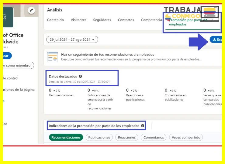 Definir tu objetivo profesional y sector objetivo
