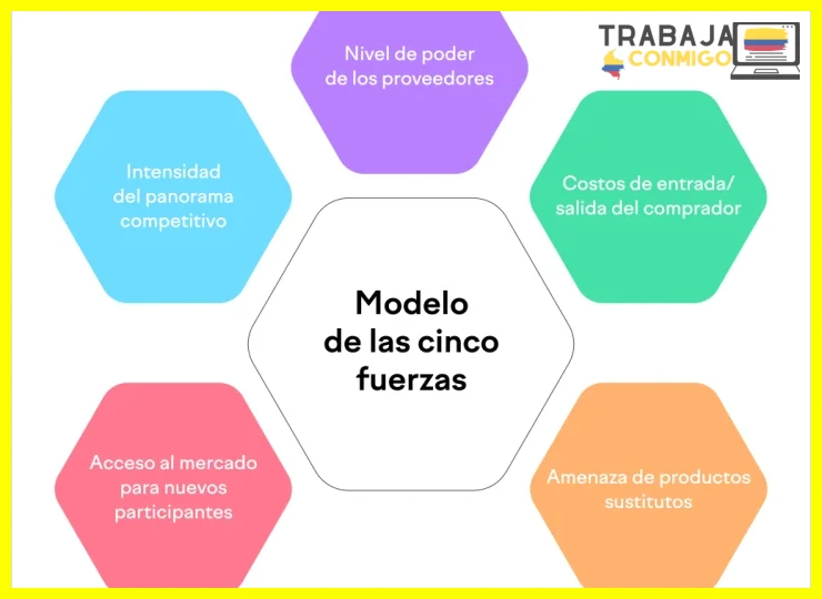 Elegir los canales digitales con mayor retorno para empresas en fase inicial