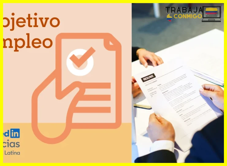 Enfocar la respuesta en habilidades transferibles y logros académicos