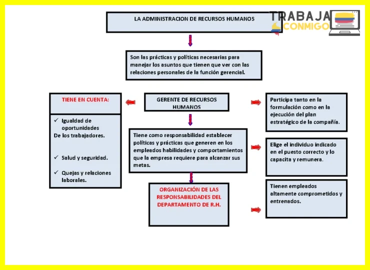 Implementación práctica de procesos en la administración de personal