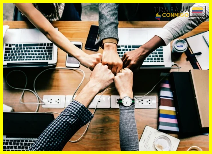 La confianza mutua como base de la colaboración