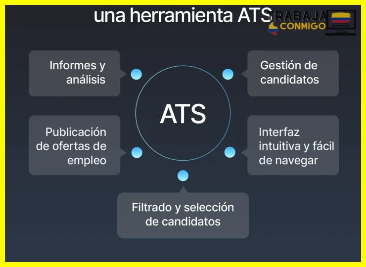 Notion como base de datos integral para organizar contactos y entrevistas