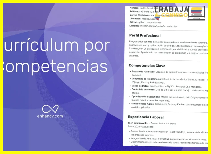 Reemplazar fotografía y datos personales por resumen profesional